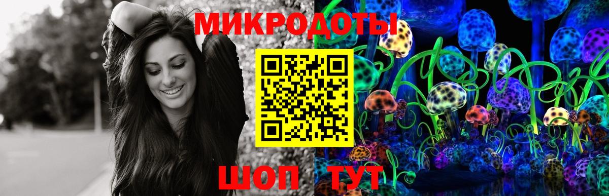 Галлюциногенные грибы MAGIC MUSHROOMS  Волгоград 